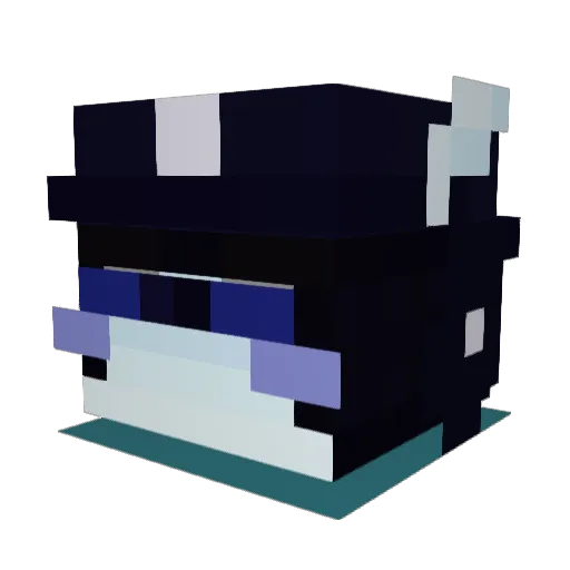 aRandomSpider Minecraft avatar head, 3D render