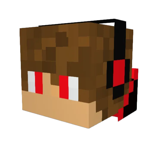 aRandomZay Minecraft avatar head, 3D render