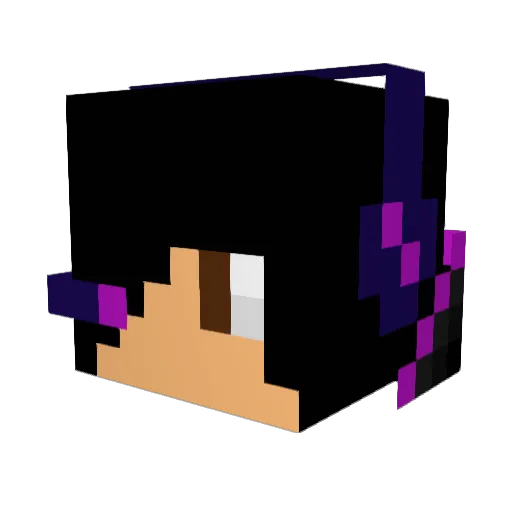 aRealFolksBlues Minecraft avatar head, 3D render
