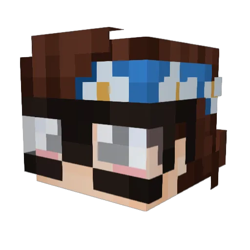 Minecraft-Avatar von aReddd: Kopf als 3D-Render