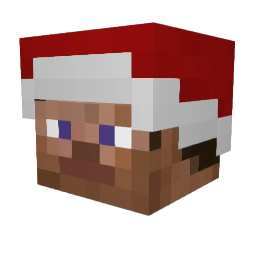 aRiceBoi Minecraft avatar head, 3D render