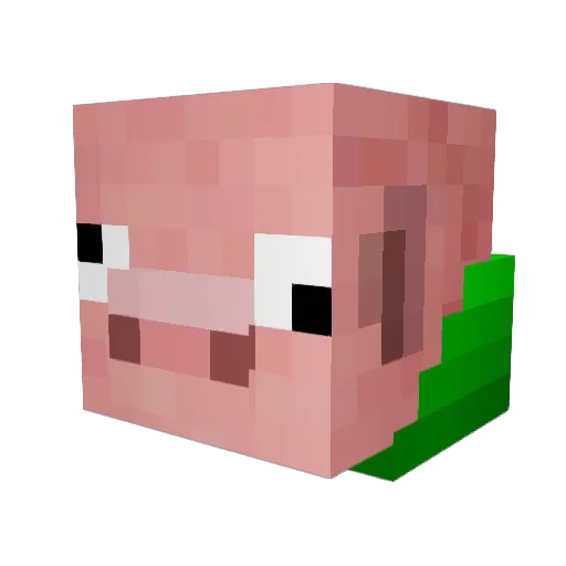 aRlyFatPig Minecraft avatar head, 3D render