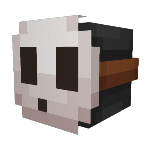 aShyGuySlave11 Minecraft avatar head, 3D render