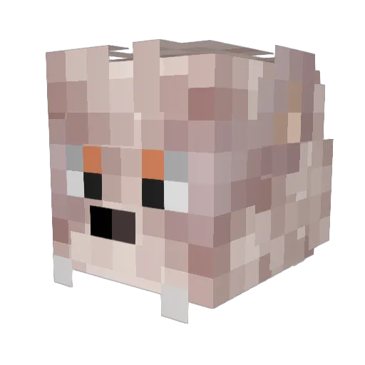 aSkinlessHusky Minecraft avatar head, 3D render