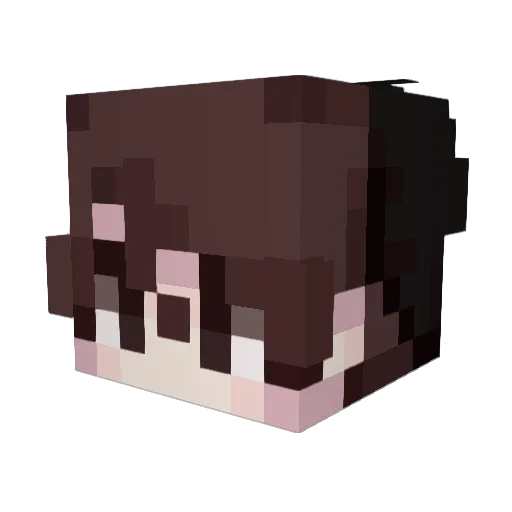 aSolFreak Minecraft avatar head, 3D render