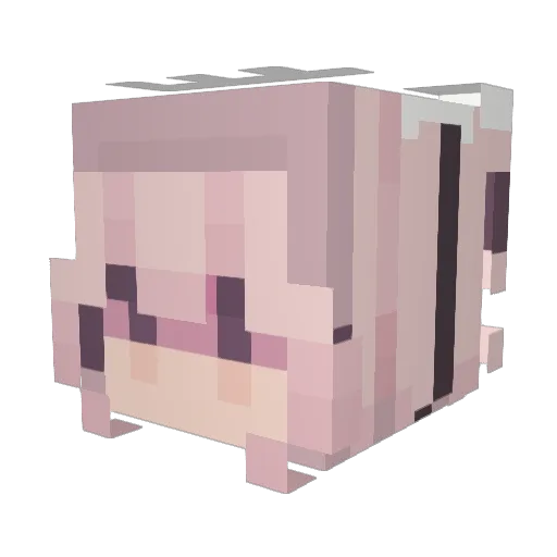 aSquidOnFire Minecraft avatar head, 3D render