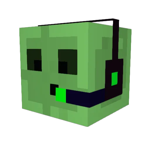 aSsAsSiNaToR863 Minecraft avatar head, 3D render
