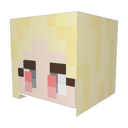 aStinkyStink Minecraft avatar head, 3D render