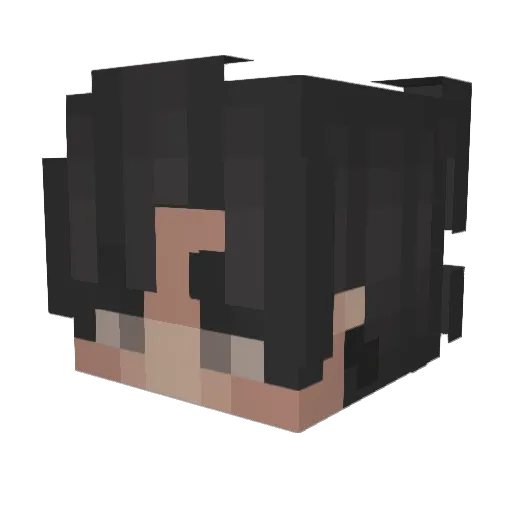 aTimBlitz Minecraft avatar head, 3D render