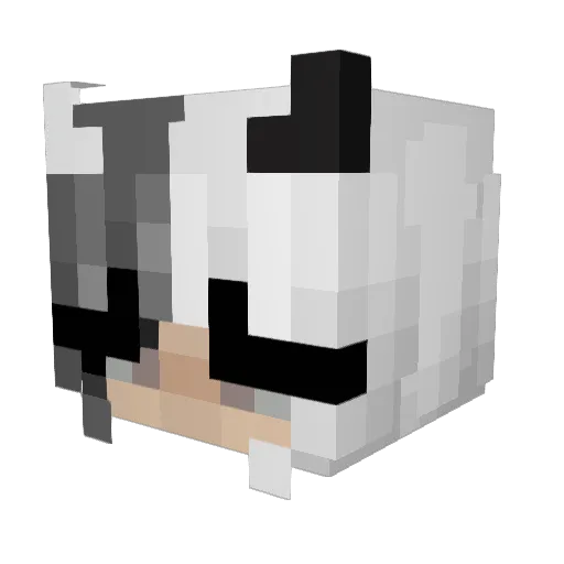 aTimTam Minecraft avatar head, 3D render