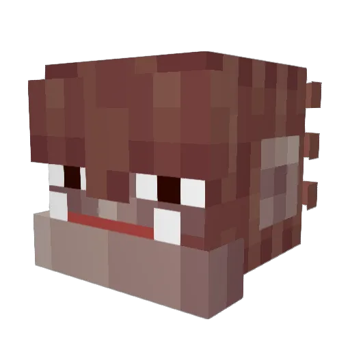 aTyler Minecraft avatar head, 3D render