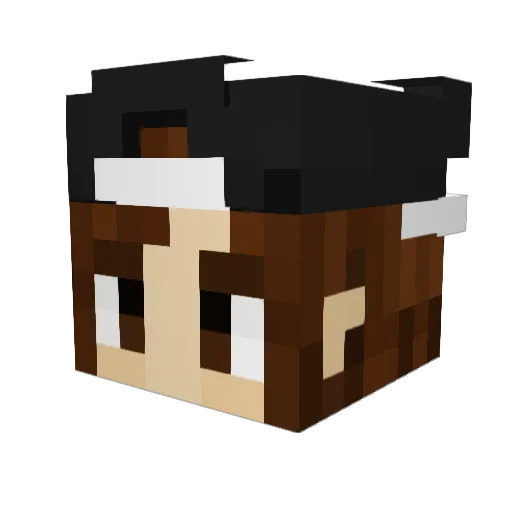 aVan48 Minecraft avatar head, 3D render
