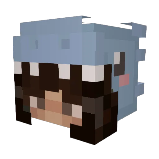 aWiseWeed Minecraft avatar head, 3D render