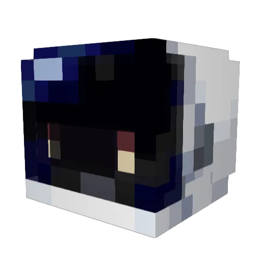 aXetroyer Minecraft avatar head, 3D render
