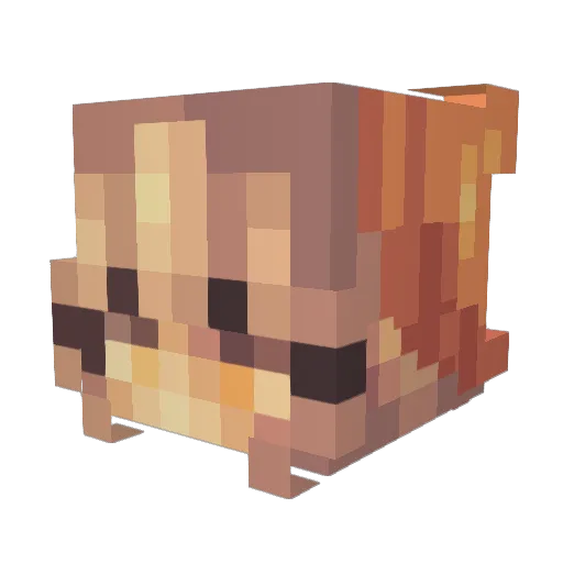 a_PenGwen_ Minecraft avatar head, 3D render