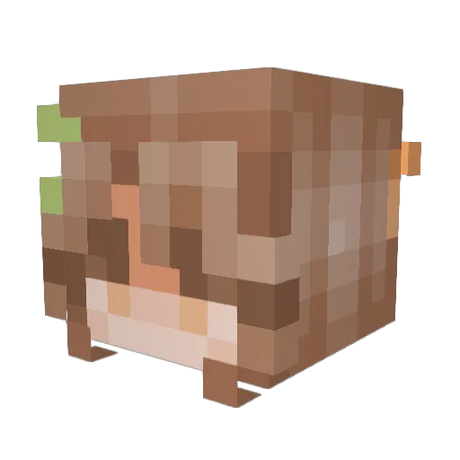 a_anyaxx Minecraft avatar head, 3D render