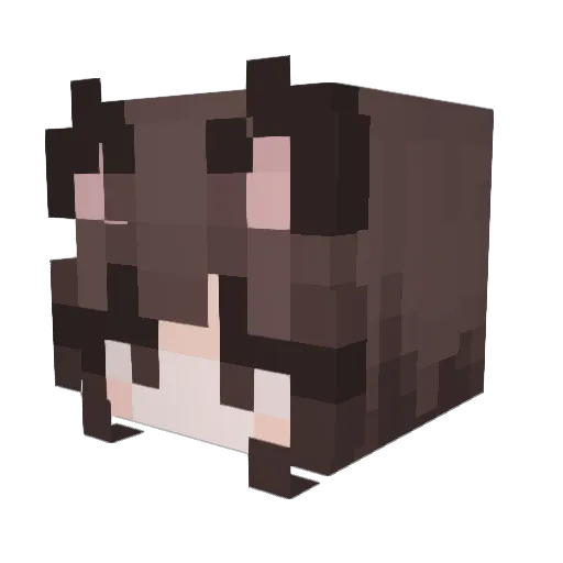 a_big_toad Minecraft avatar head, 3D render