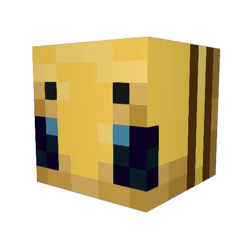 a_bunch_o_bees_ Minecraft avatar head, 3D render