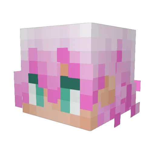 a_duck1111 Minecraft avatar head, 3D render