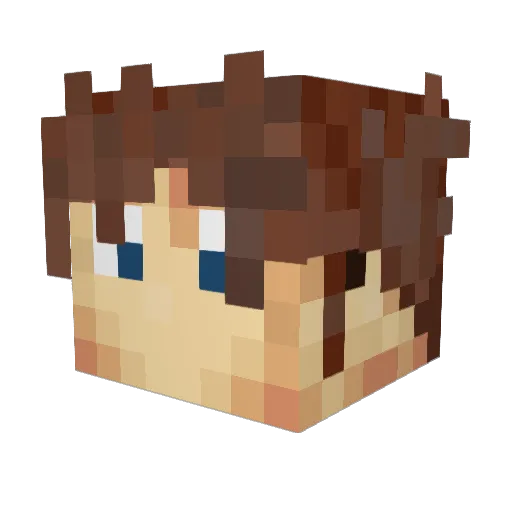 a_duck12345 Minecraft avatar head, 3D render