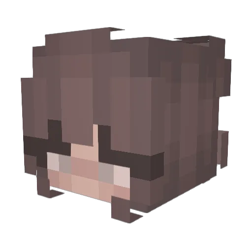 a_duh_he_he Minecraft avatar head, 3D render