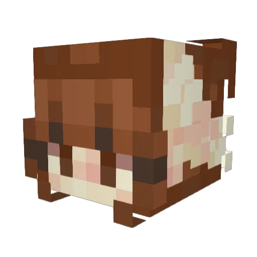 a_flibbertigibit Minecraft avatar head, 3D render