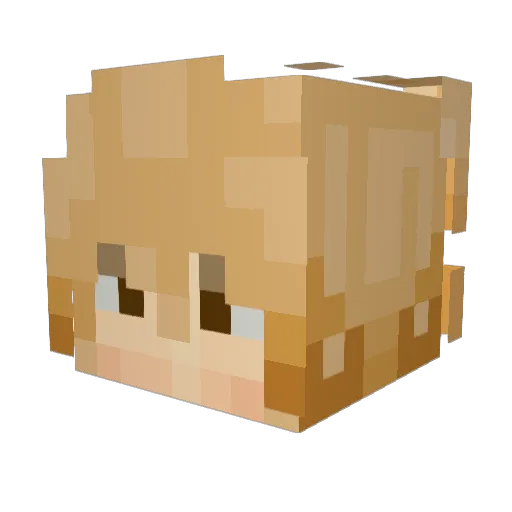 a_flying_ant Minecraft avatar head, 3D render