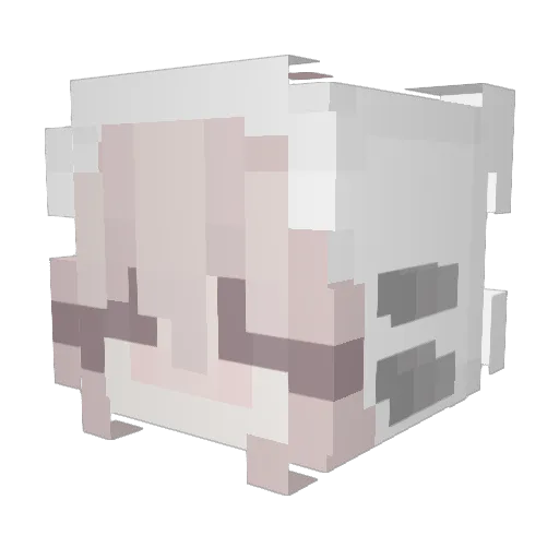 a_hrii Minecraft avatar head, 3D render