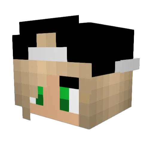 a_mess_honestly Minecraft avatar head, 3D render