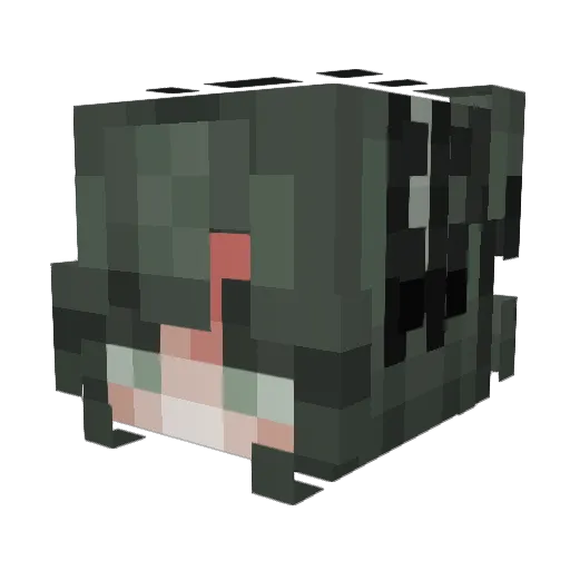 a_mouse_cat Minecraft avatar head, 3D render