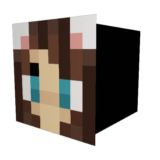 a_n123 Minecraft avatar head, 3D render