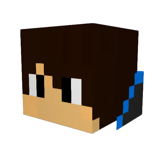 a_n_m_gaming Minecraft avatar head, 3D render
