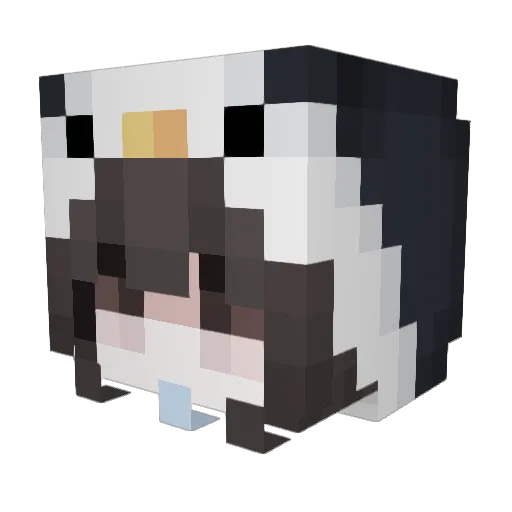 a_rinn Minecraft avatar head, 3D render