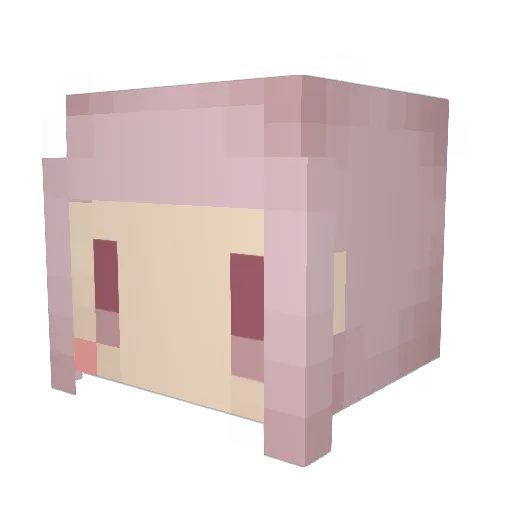 a_shiki5 Minecraft avatar head, 3D render