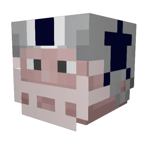 a_shlong Minecraft avatar head, 3D render