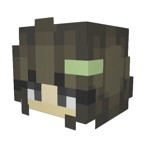 aa1yn_ Minecraft avatar head, 3D render