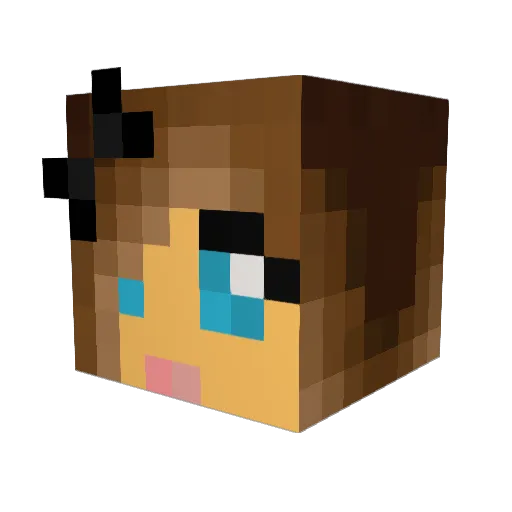 aa21ash Minecraft avatar head, 3D render