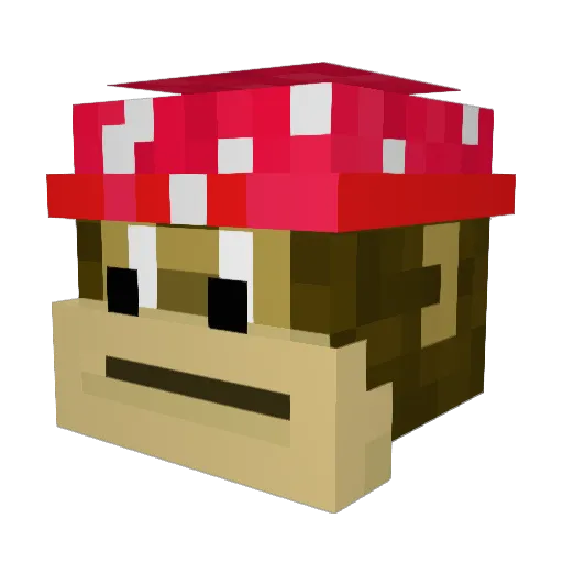 aaFixx Minecraft avatar head, 3D render