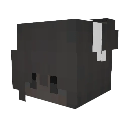 aaIeyna Minecraft avatar head, 3D render