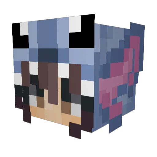 aaNaNaSs Minecraft avatar head, 3D render