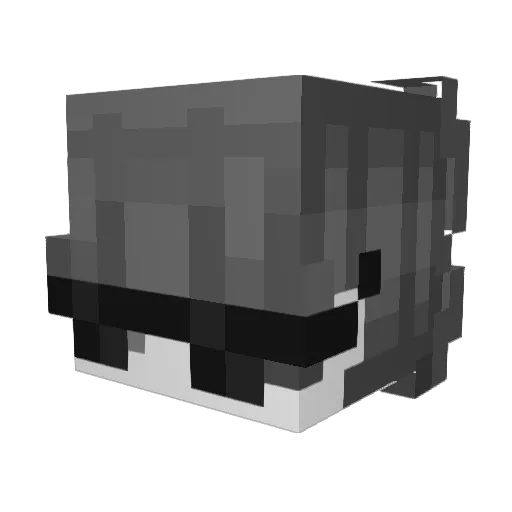 aaaaa_aaaaaaaaa Minecraft avatar head, 3D render
