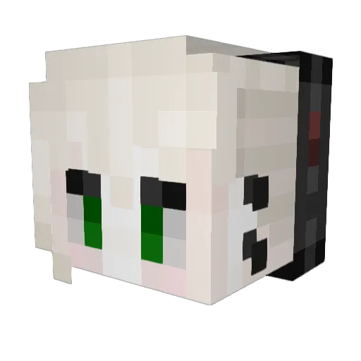 aaaaaarthur Minecraft avatar head, 3D render