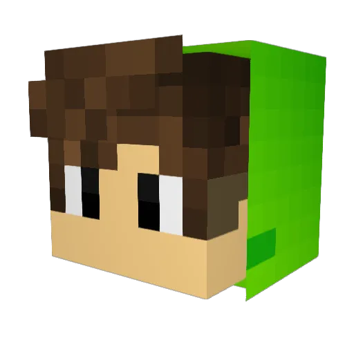 aaaguuusss Minecraft avatar head, 3D render