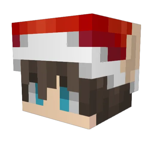 aaaout123 Minecraft avatar head, 3D render