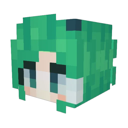 aaapplesauce Minecraft avatar head, 3D render