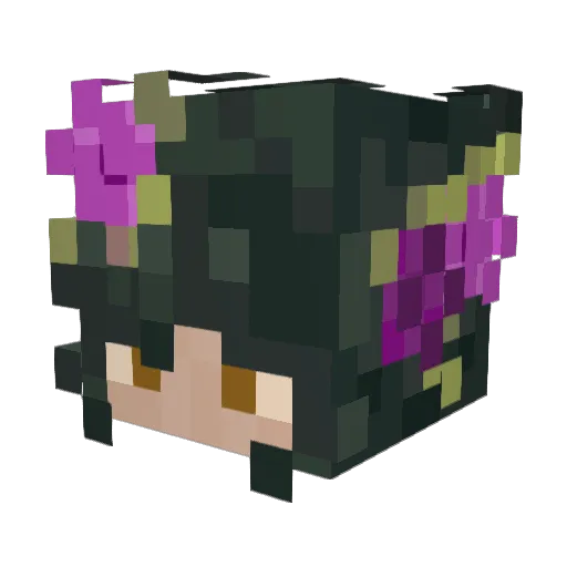 aaaquagirl Minecraft avatar head, 3D render