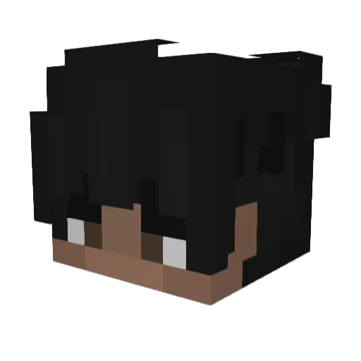 aaarctic Minecraft avatar head, 3D render