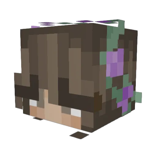 aadanwberg Minecraft avatar head, 3D render