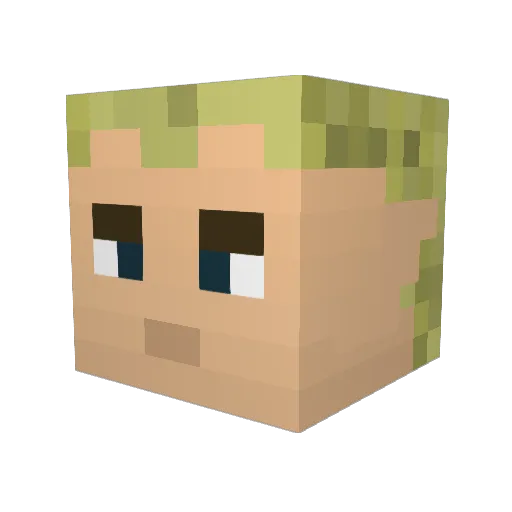 aadizooke Minecraft avatar head, 3D render