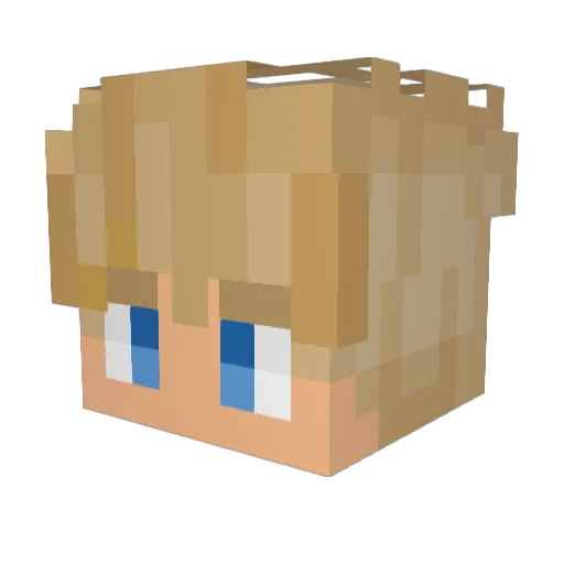 aadmin Minecraft avatar head, 3D render